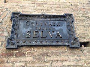 Contrada della Selva