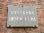 Contrada della Lupa
