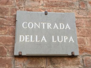 Contrada della Lupa